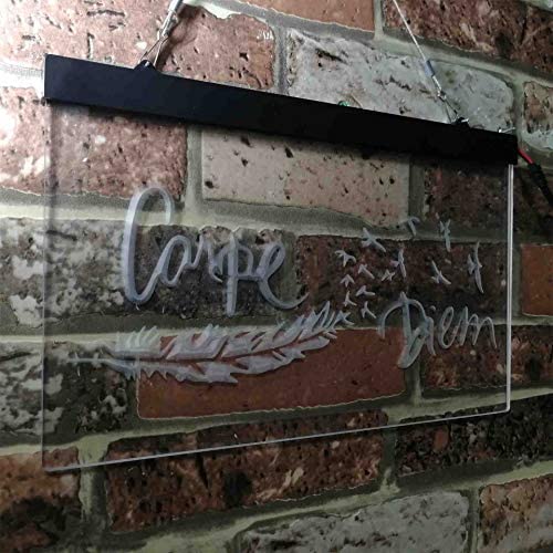 Carpe Diem Seize The Day LED Neon Light Sign - Way Up Gifts