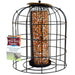 Iron Wire Cage Bird Feeder (Bulk Qty of 2) - Way Up Gifts