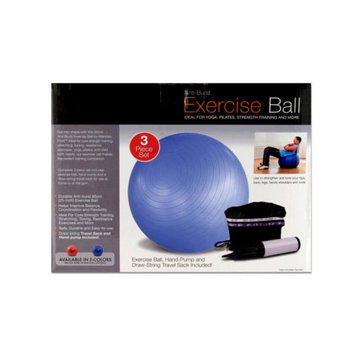 Exercise Ball with Pump - Way Up Gifts