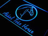 Akhal Teke Horse LED Neon Light Sign - Way Up Gifts