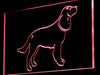 American Water Spaniel LED Neon Light Sign - Way Up Gifts