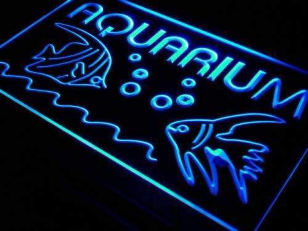 Aquarium Fish Lure LED Neon Light Sign - Way Up Gifts