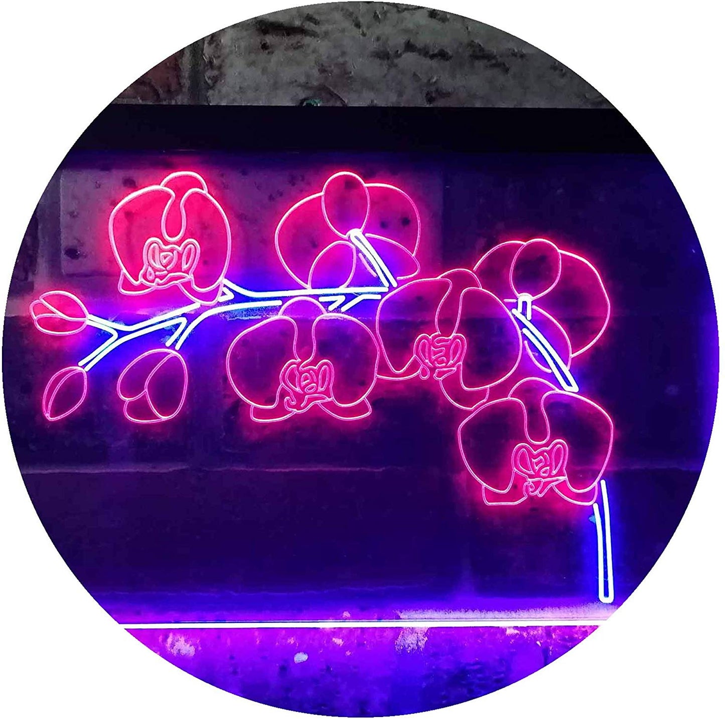 Orchid Flower Room Dual Color LED Neon Sign White & Purple 16 x 24  st6s46-i3529-wp : : Everything Else