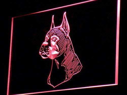 Buy Boxer Dog Pet Head LED Neon Light Sign – Way Up Gifts