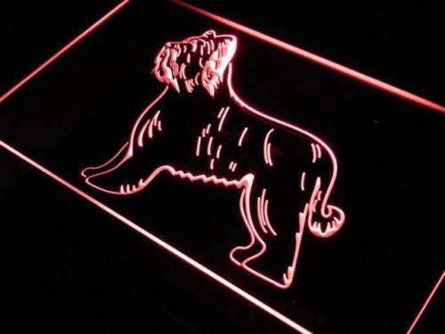 Briard Dog LED Neon Light Sign - Way Up Gifts