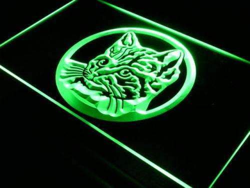 Cat Kitty LED Neon Light Sign - Way Up Gifts