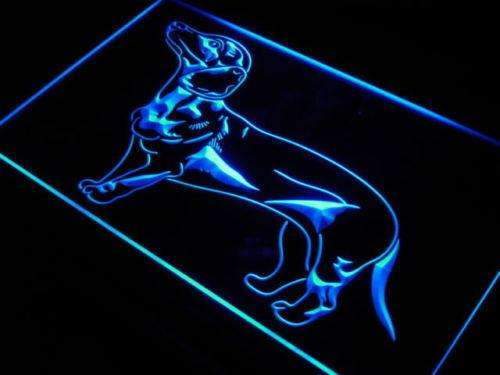 Dachshund LED Neon Light Sign - Way Up Gifts