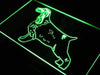 English Cocker Spaniel LED Neon Light Sign - Way Up Gifts