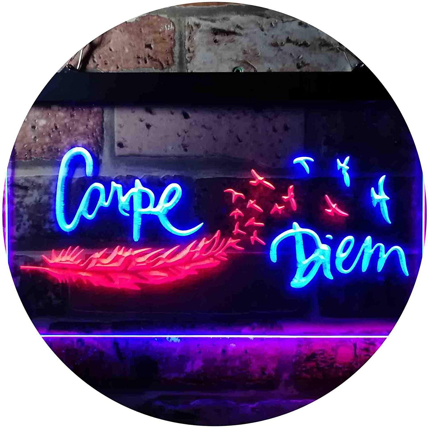 Carpe Diem Seize The Day LED Neon Light Sign