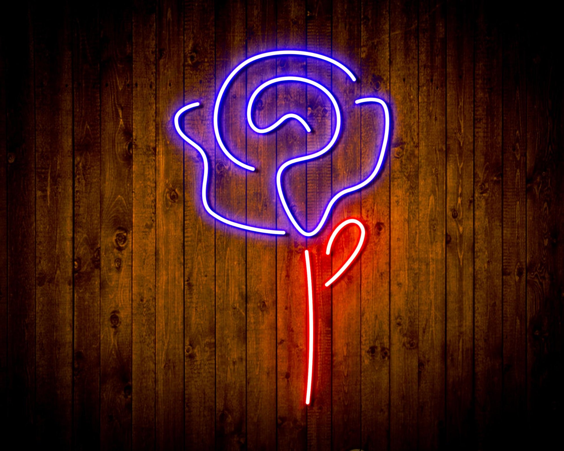 YHQKJ LED Neon Sign Neon Sign Rose Flower Neon Lights,Custom Transparent  Led Wall Hanging Acrylic Decor,12V Dimmable Neon Lights Decoration (Color :  Purple, Size : 41x40cm) : : Lighting