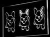 French Bulldog Puppies LED Neon Light Sign - Way Up Gifts