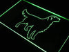 Golden Retriever LED Neon Light Sign - Way Up Gifts