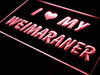 I Love My Weimaraner LED Neon Light Sign - Way Up Gifts