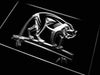 Puma Panther LED Neon Light Sign - Way Up Gifts
